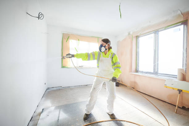 Best Mold Documentation for Insurance Claims  in Dove Valley, CO