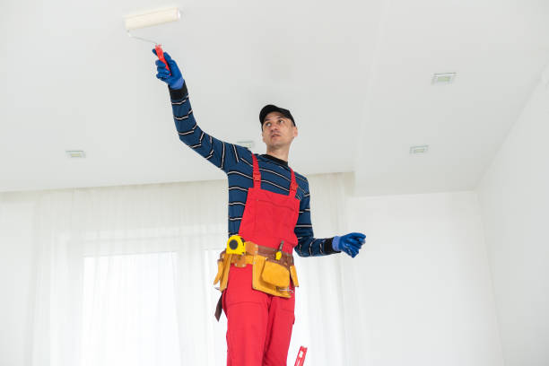 Best Air Quality Testing for Mold Spores  in Dove Valley, CO